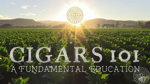 CIGARS 101 Preview