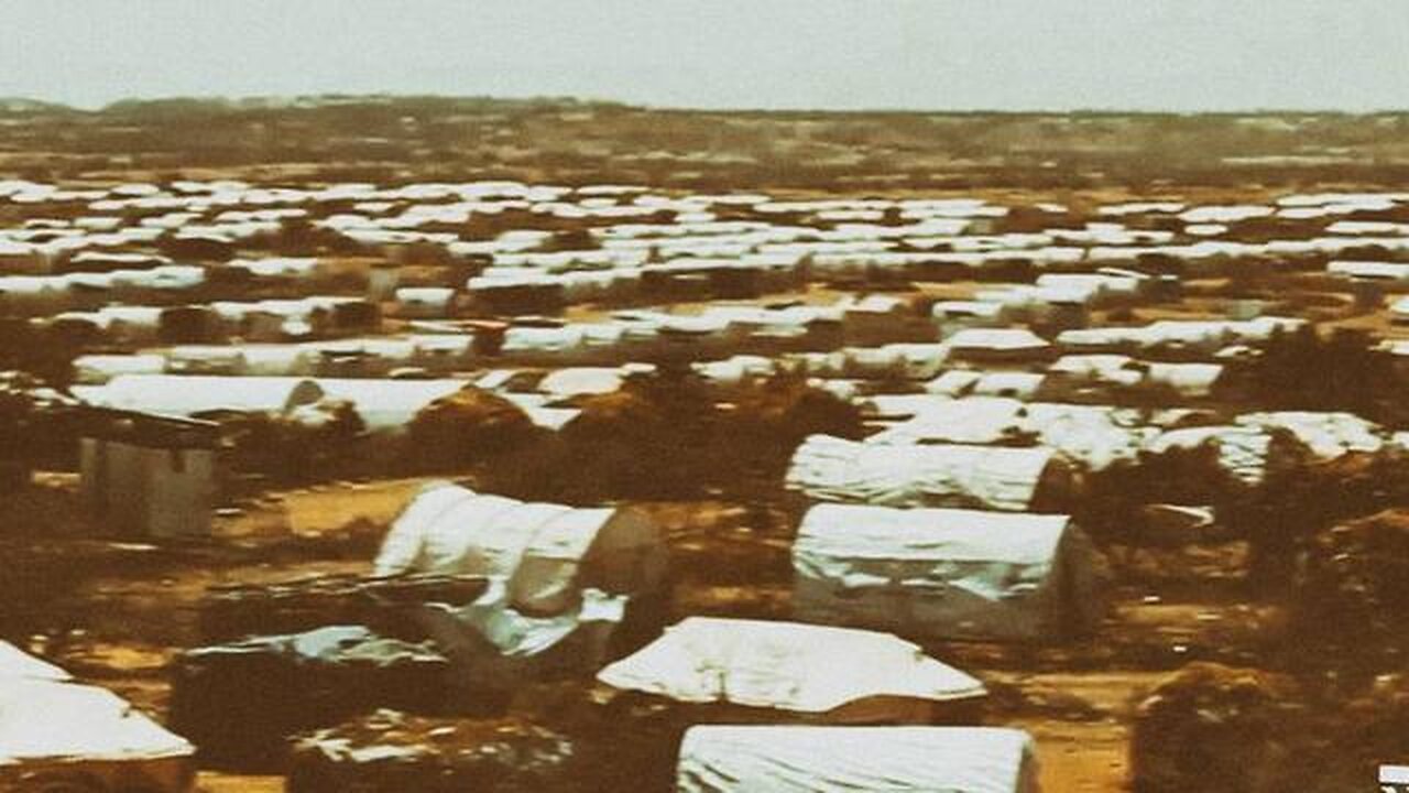 COVID Ushered In Internment Camp Complex | John Bowne, InfoWars