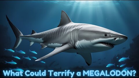 The One Monster Megalodon Feared Most!