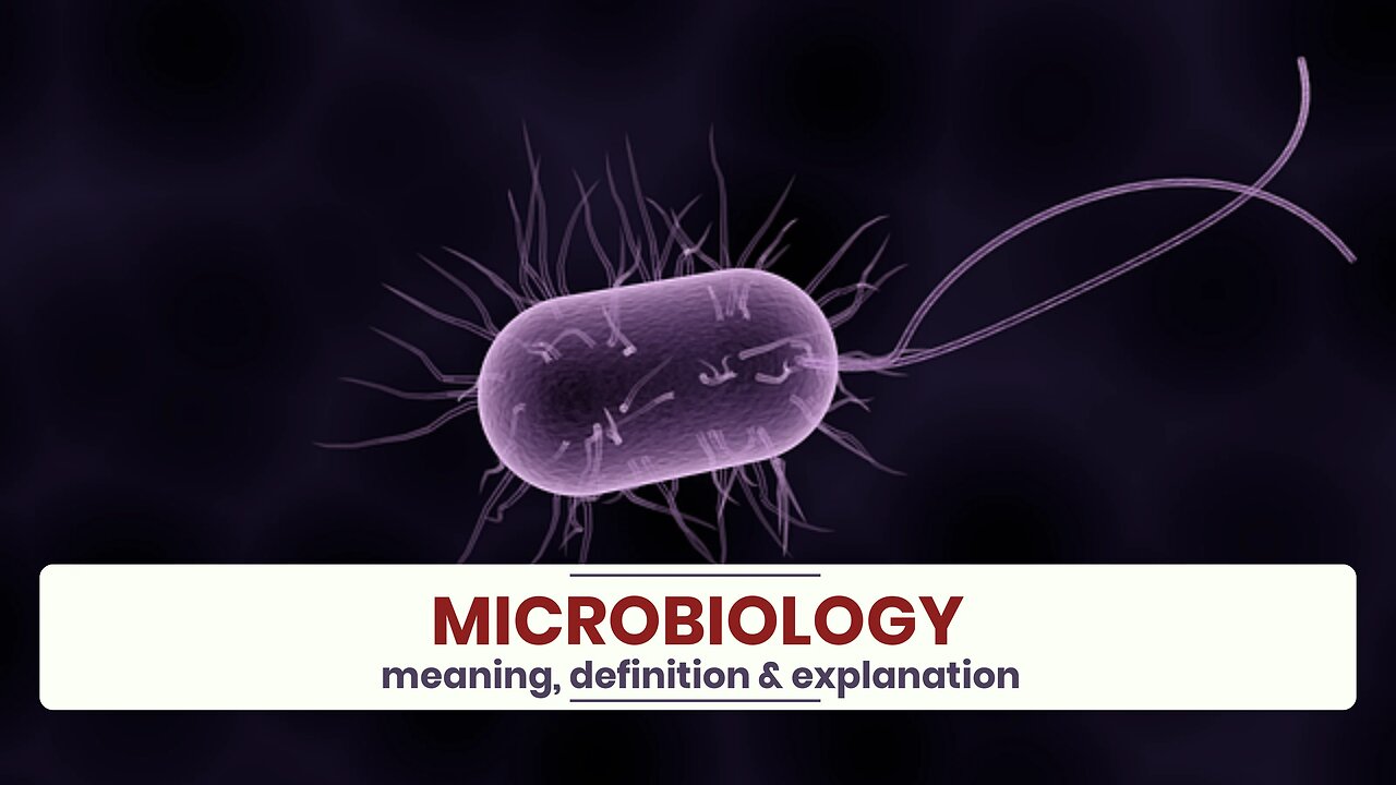 What is MICROBIOLOGY?