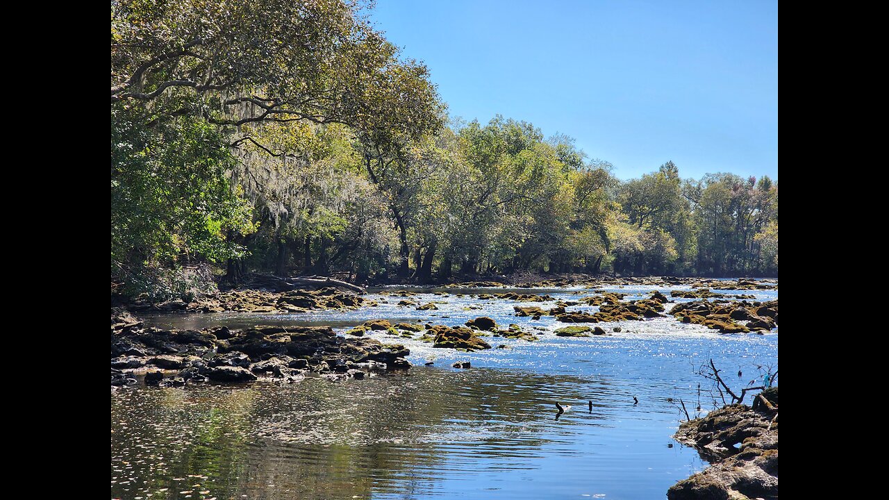 River Rapids - Eden