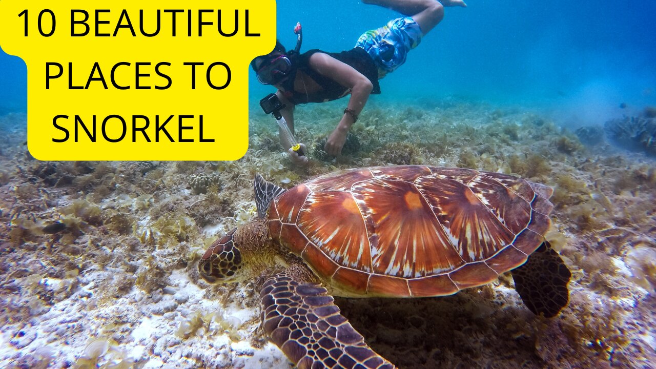10 Beautiful Places in the World to Snorkel