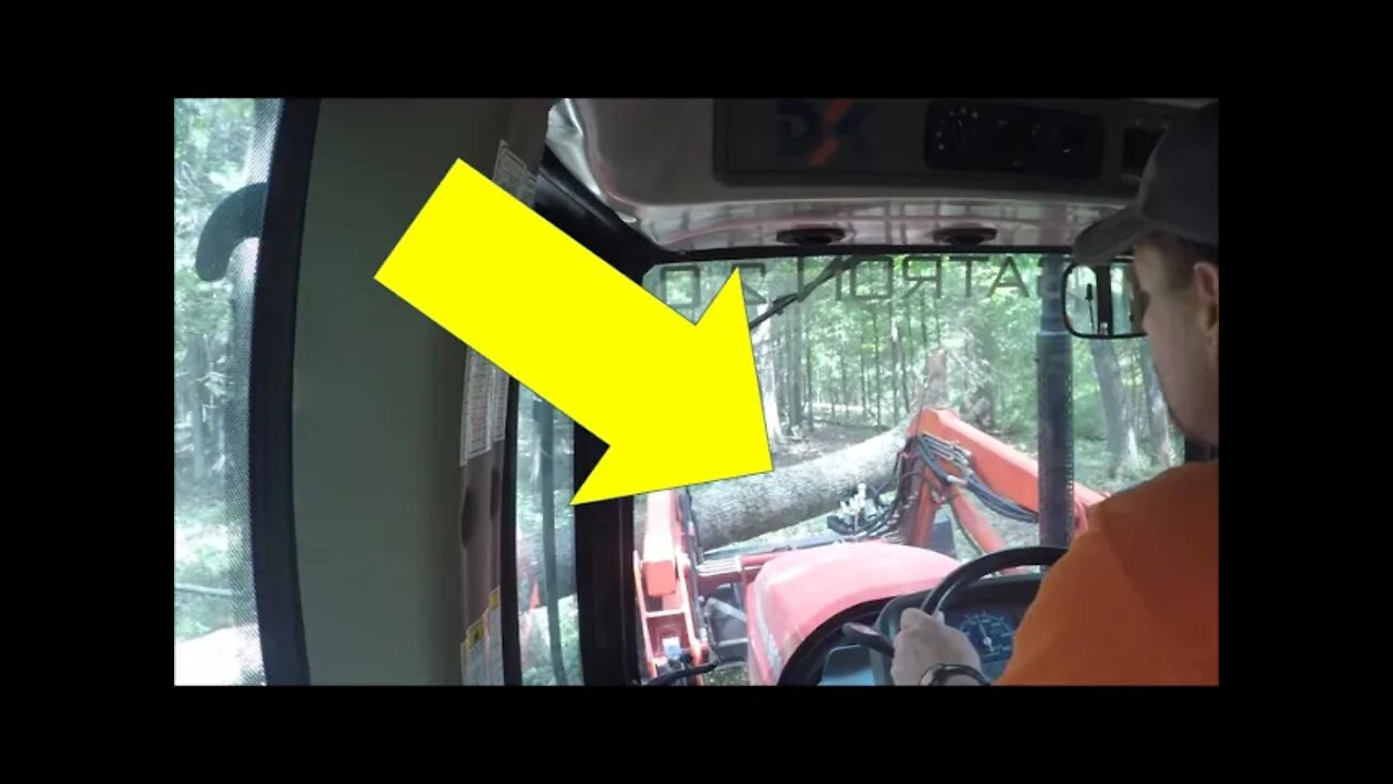 Bush hogging deep woods trails! PART 3 Compact tractor and bush hob BH26