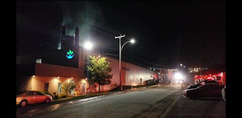 Feu royal mat juin 2018