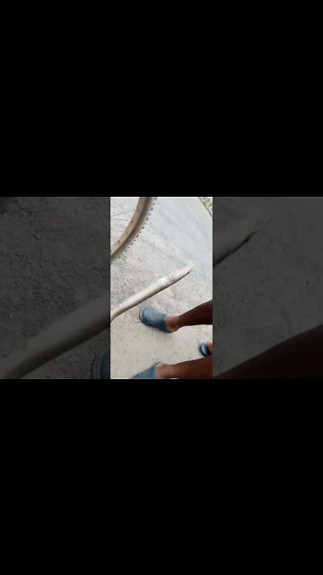 Fish hunting-Unseen Big Baam fish catch