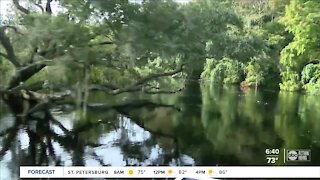 Take a ride on an airboat in the heart of Sebring