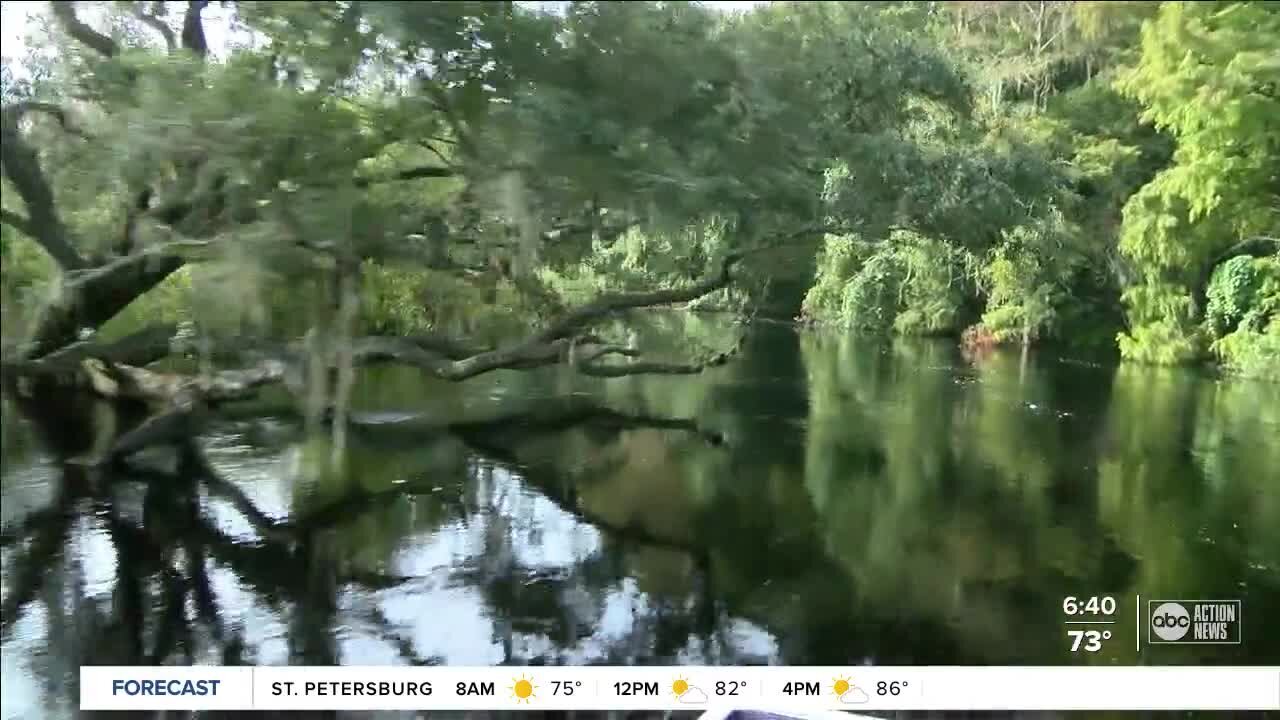 Take a ride on an airboat in the heart of Sebring