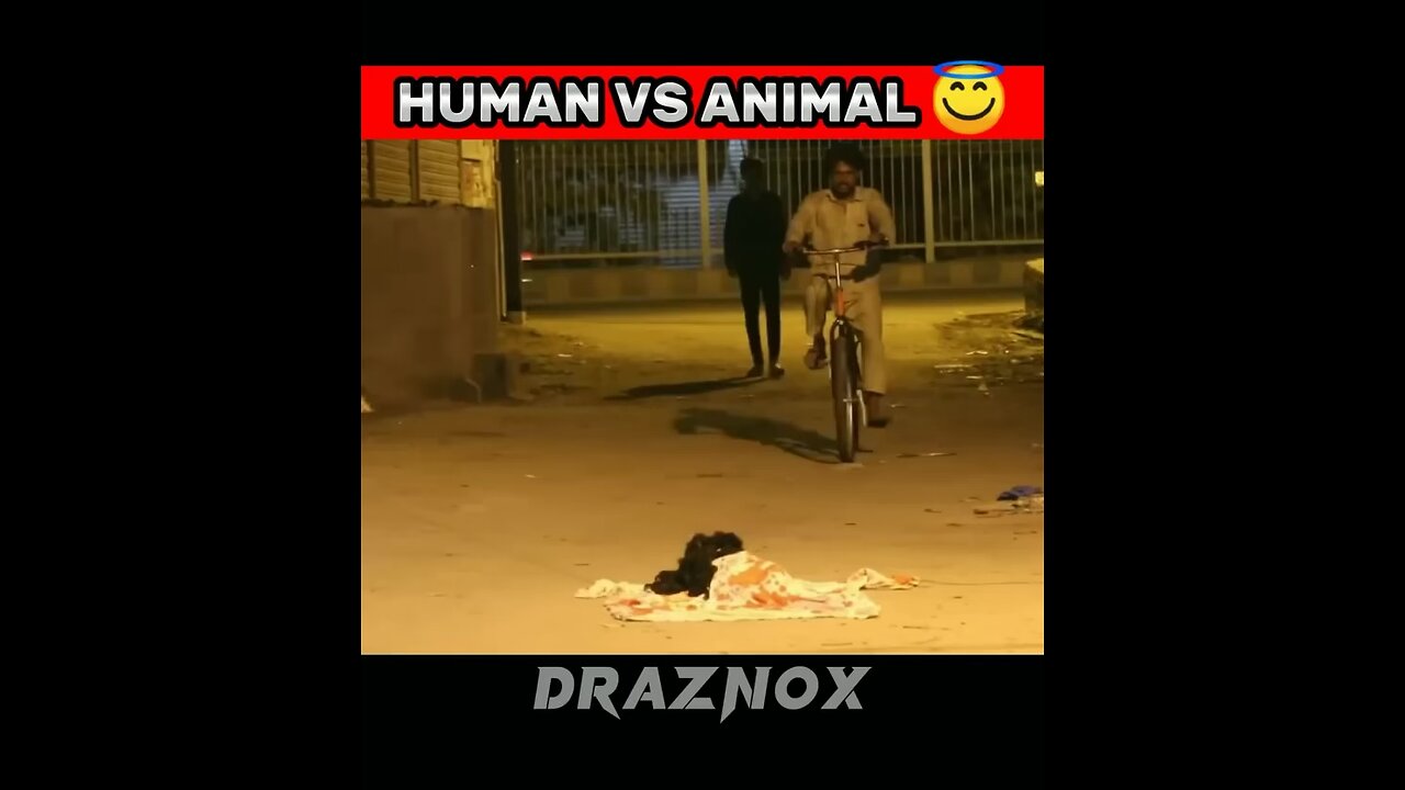 HUMAN VS ANIMAL