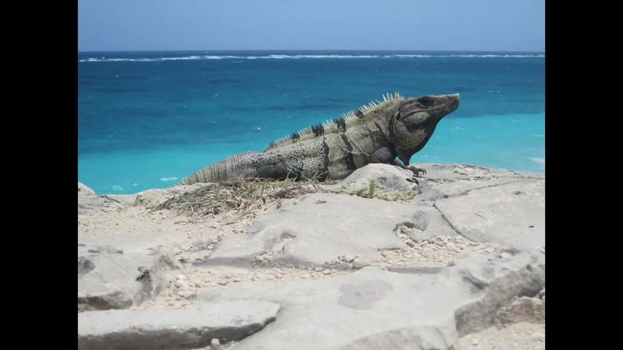 Relax with Me in Maya Tulum