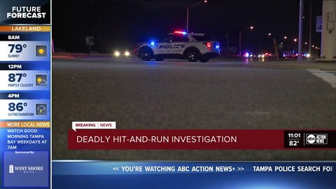 Deadly hit-and-run investigation