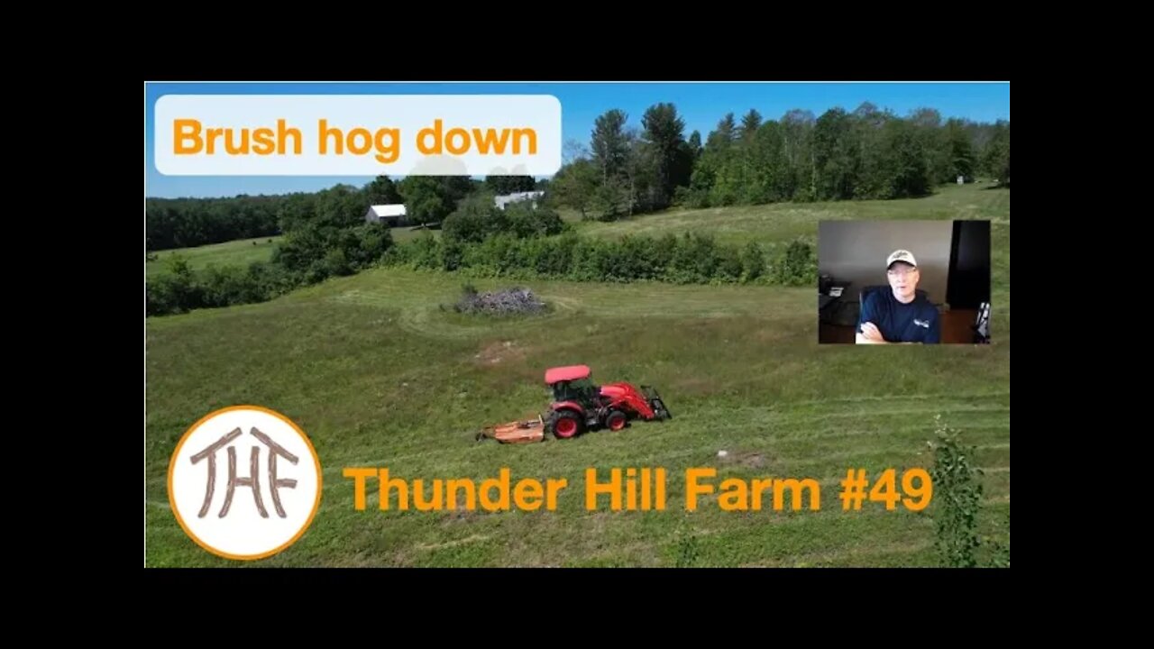 Thunder Hill Farm #49 - Brush hog down