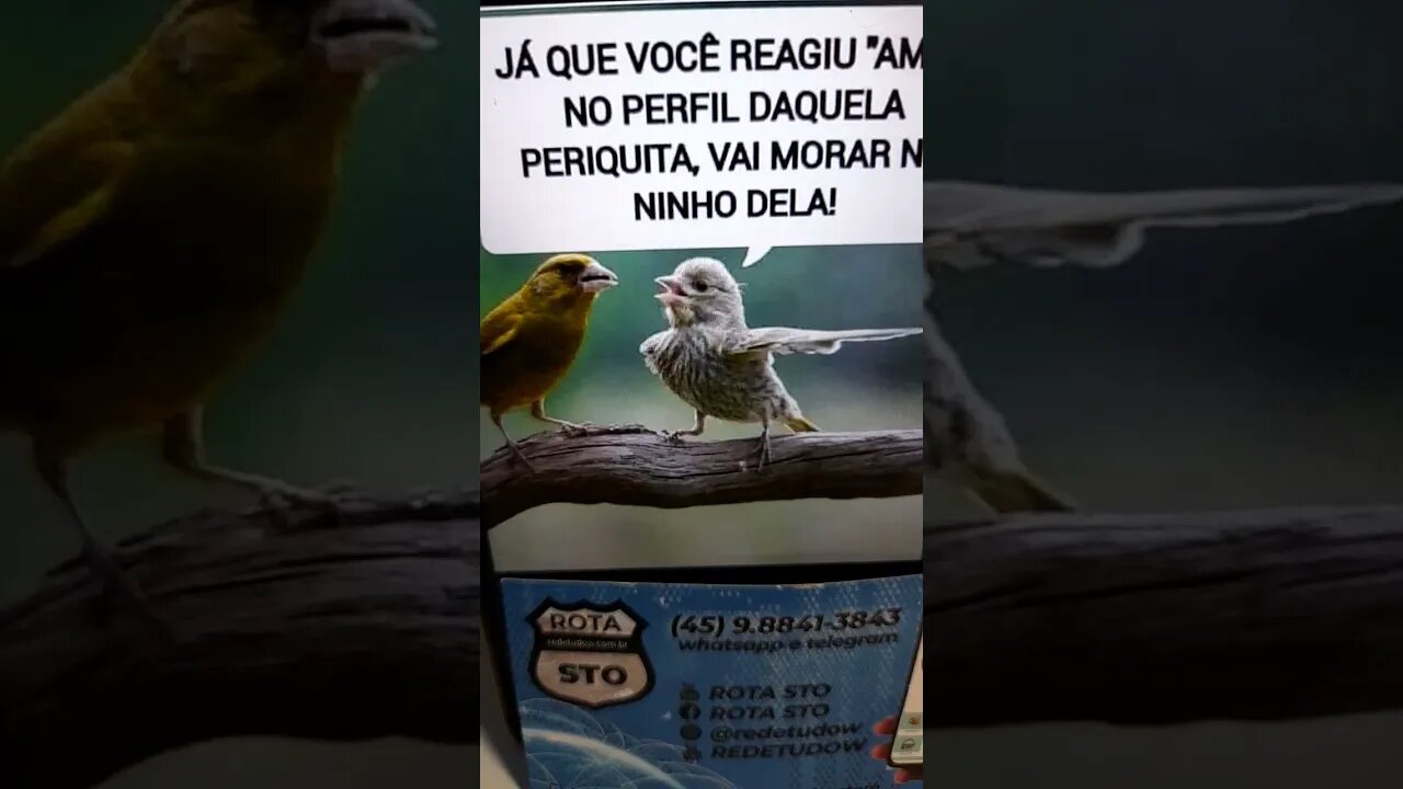 Treta no ninho
