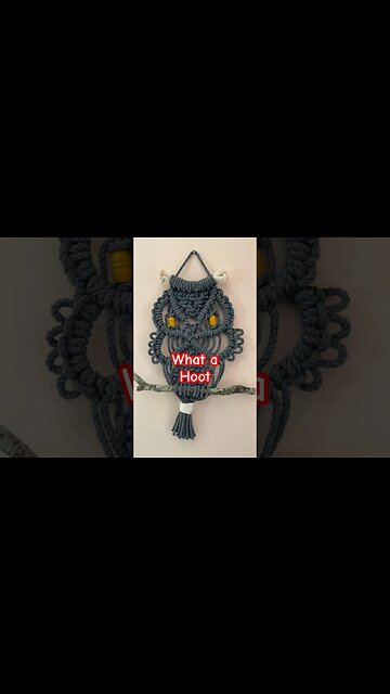 Owl you need is love ❤️ 🦉#macrame #shorts