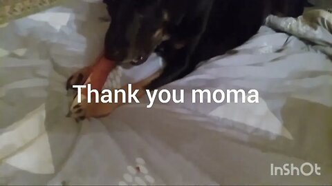 I got a new bone.