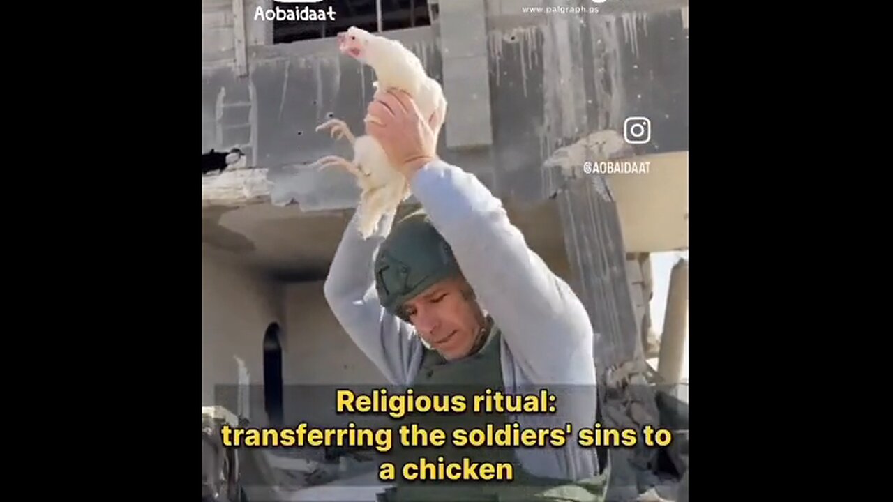 Jewish 'Religious' RITUAL transferring the soldier's sins to the chicken then killing it