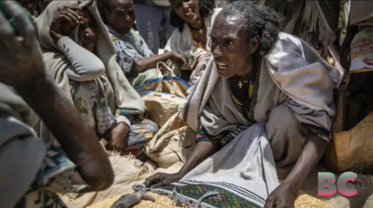 Millions of Ethiopians go hungry again as US, UN pause aid after massive theft