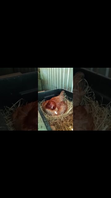 Good morning Forest, 19th August 2022