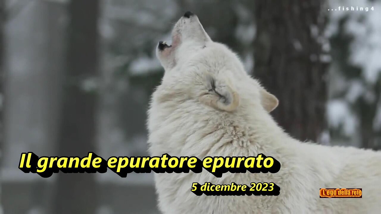 Il grande epuratore epurato - 5 dicembre 2023