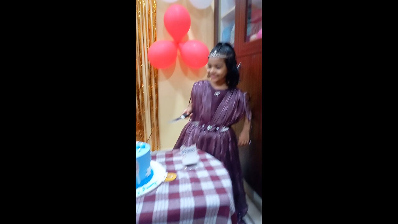 Princess Aranya birthday party