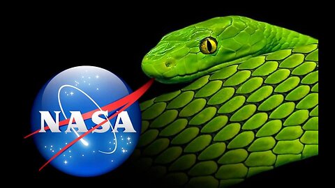 Flat Earth Humor For Entertainment Porpoises Only