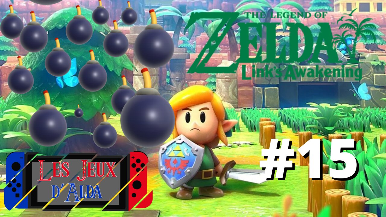 C'EST DE LA BOMBE ! - Let's Play : Link's Awakening part 15