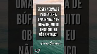 Frase do Enéas Carneiro