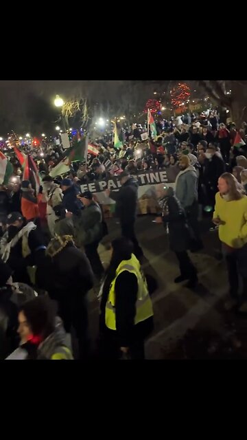 Pro-Hamas Protesters Take Over Boston Common