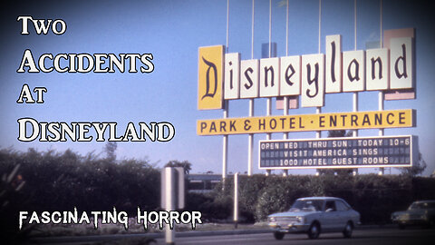 Two Accidents at Disneyland | Fascinating Horror