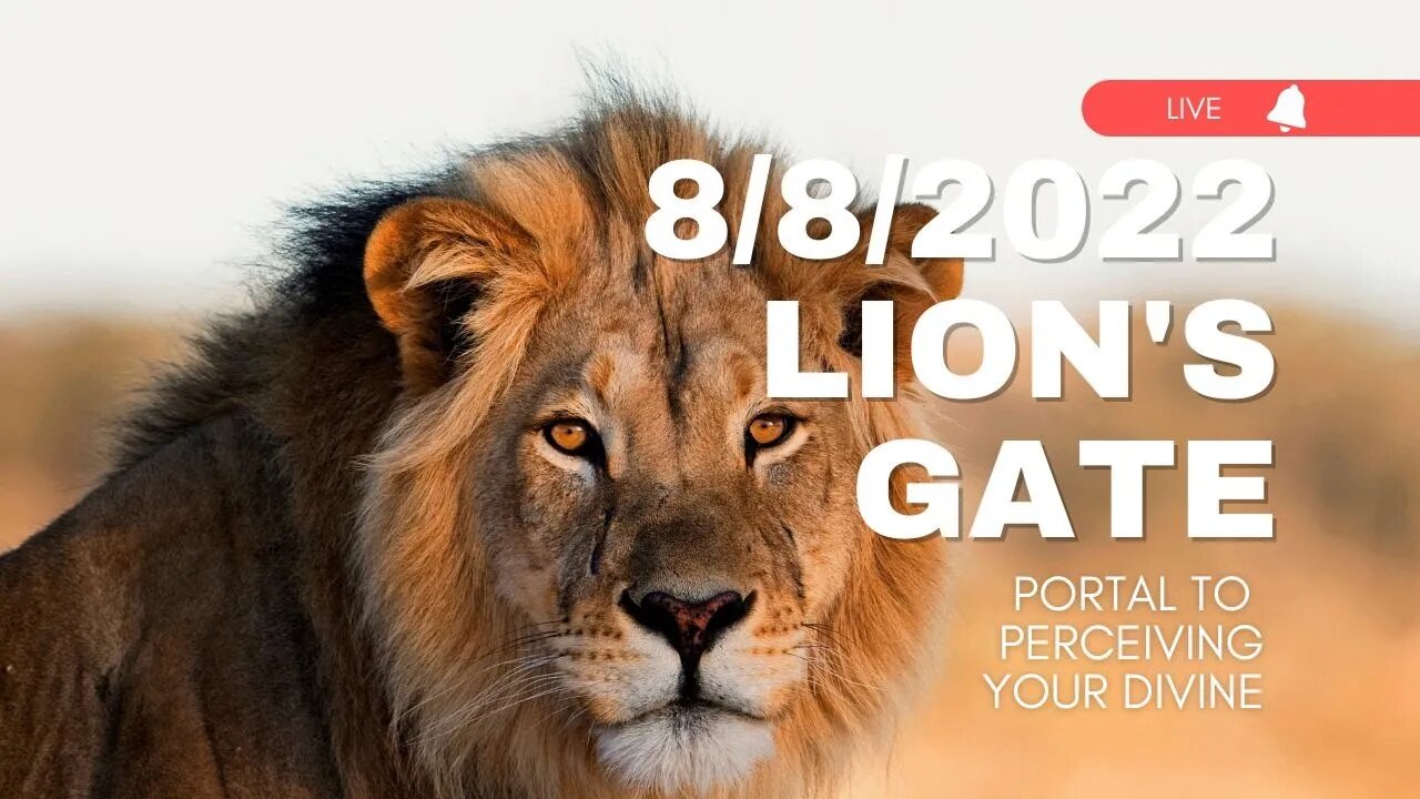 8-8 LION'S GATE PORTAL - Portal to Perception with @The Southern Astrologer