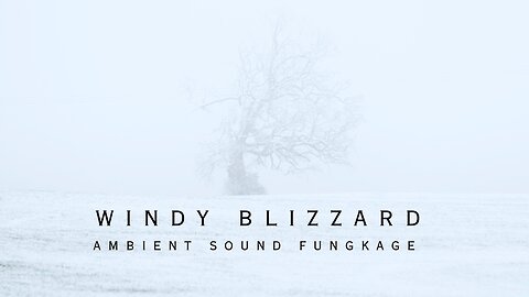 Windy Blizzard