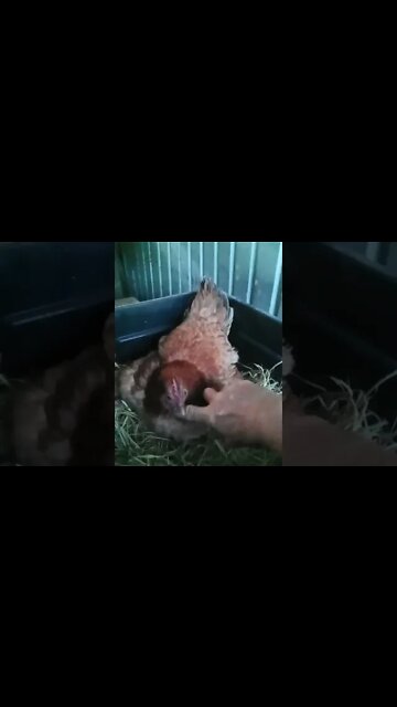 Good morning Forest 12th September 2022