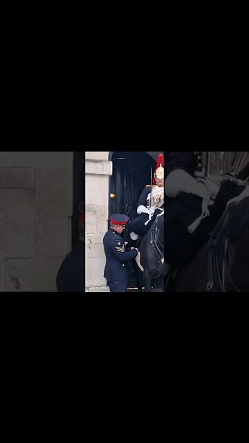 Copral comes to help #horseguardsparade