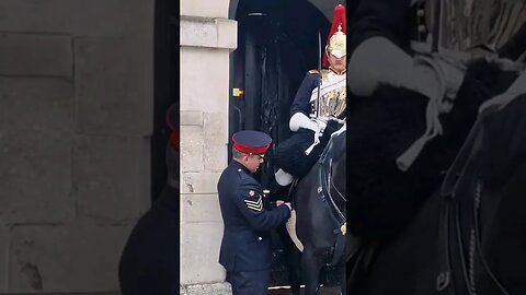 Copral comes to help #horseguardsparade