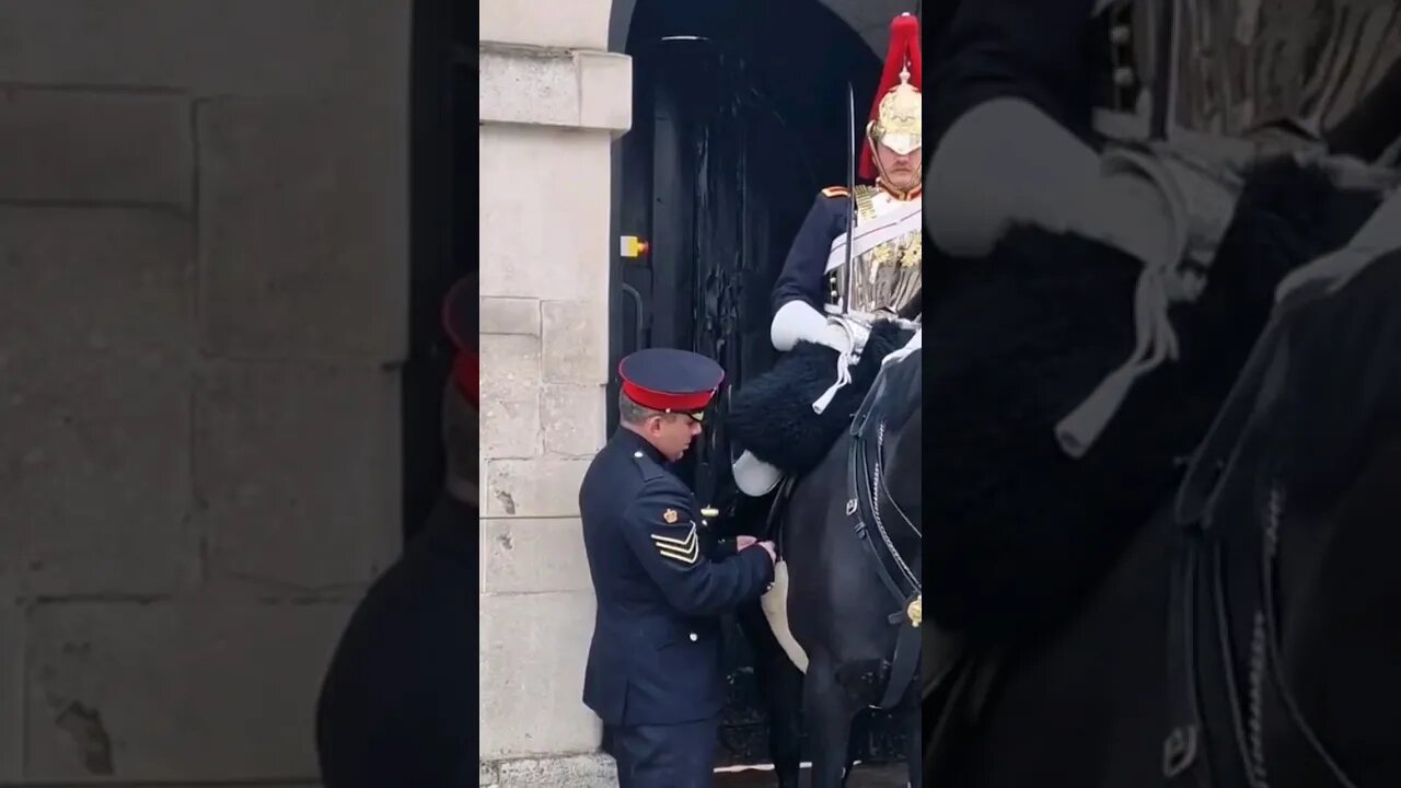 Copral comes to help #horseguardsparade