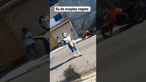 vegeta da Santa Efigênia