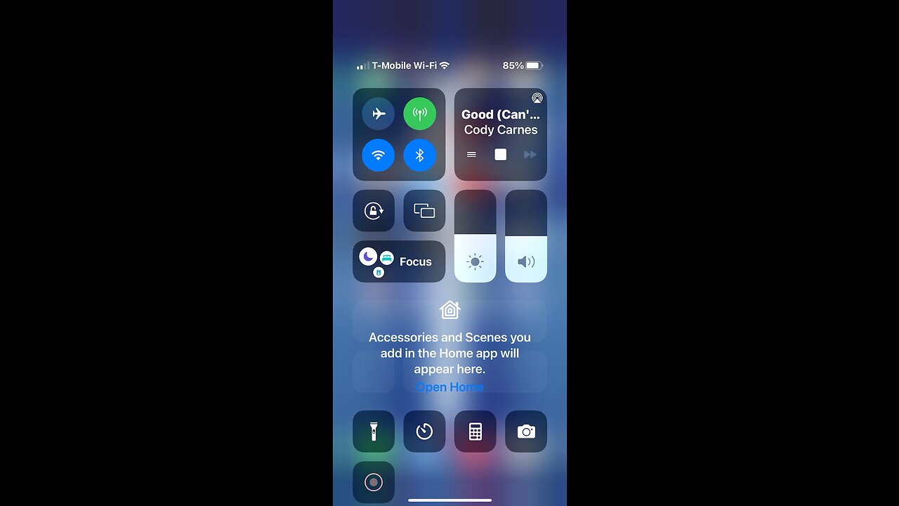 🎼🎶❤️🎶🦁🎶❤️🎶🎼