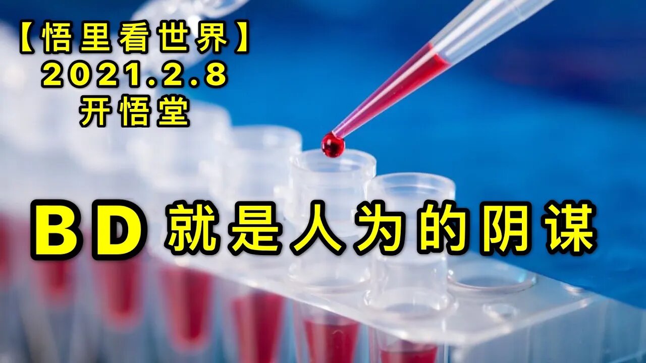 KWT1044BD就是人为的阴谋20210208-8【悟里看世界】