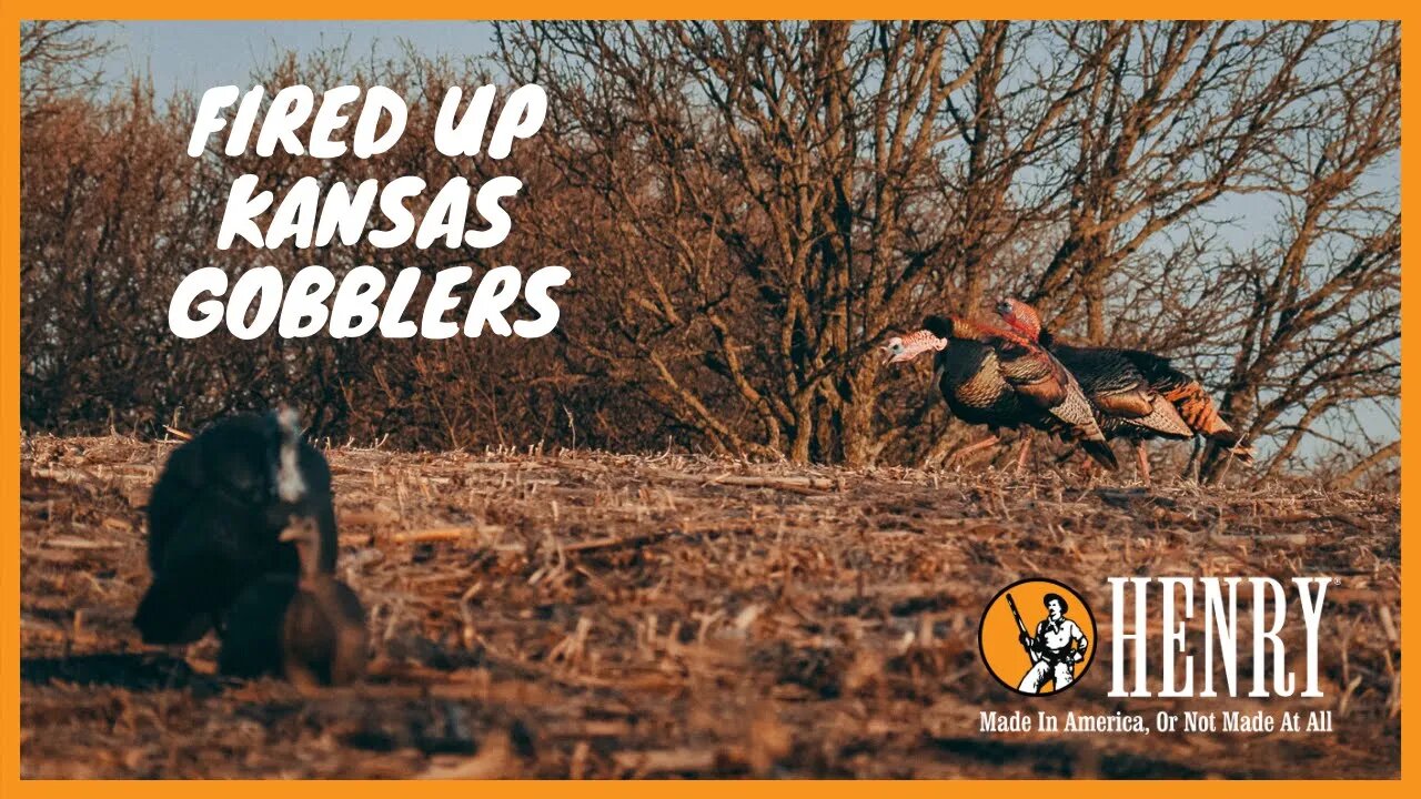Henry Single Shot Shotgun. Gobbler Down! | #HUNTWITHAHENRY