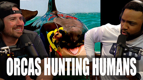 You're Gonna Need A Bigger Boat: Massive Orcas Unleash Unprecedented Assault on Boats!