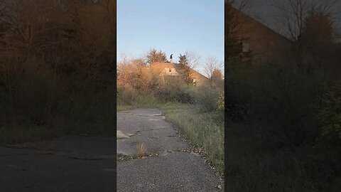 we found giant military tunnels from ww2