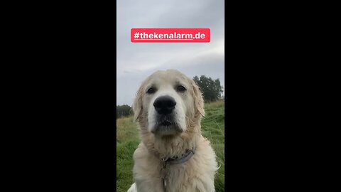 KAPITULIERT
