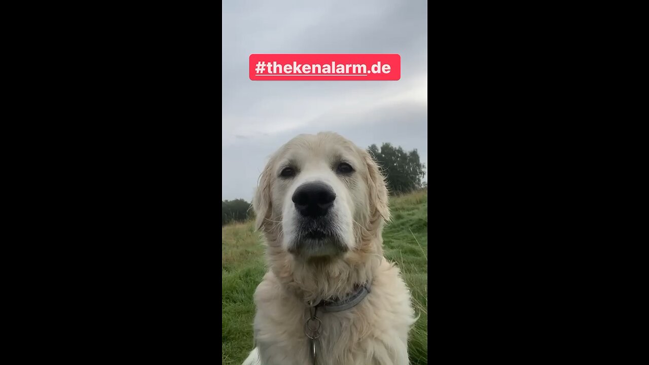 KAPITULIERT