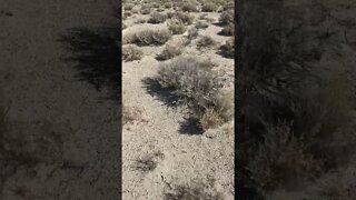 Range finder on foot in the desert