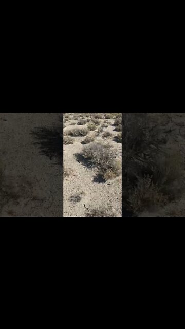 Range finder on foot in the desert