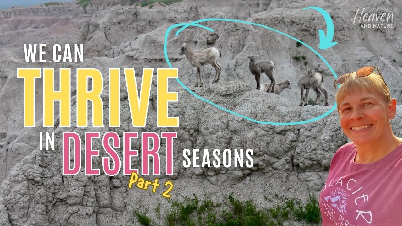 Bible Study: How to Thrive through Desert Seasons