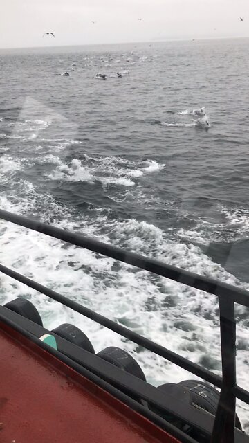 When visitors come calling.