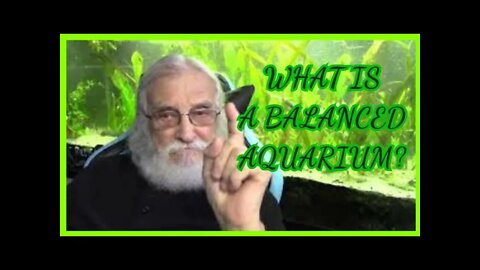 WHAT IS A BALANCED AQUARIUM?