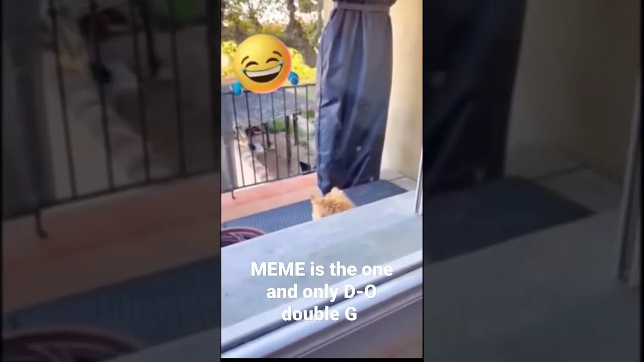 MEME is the one and only D-O double G #shorts #trending
