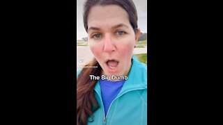 #thebigdumb #Tamararoseblodgett