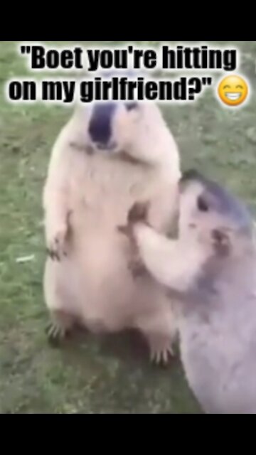 "Boet You're Hitting On My Girlfriend?" 😁